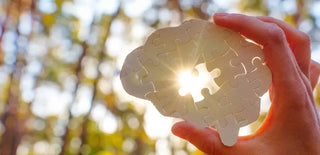 Hand hält ein gehirnförmiges Puzzle mit fehlendem Teil, durch das Sonnenlicht vor unscharfem Waldhintergrund scheint