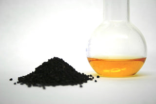 Schwarzkümmelsamen (Nigella sativa) und kaltgepresstes Öl – das "ägyptische Gold" mit neuer wissenschaftlicher Evidenz 2026