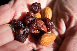 Ballaststoffreiche Lebensmittel wie Nüsse und getrocknete Beeren als Symbol für Ernährung, Darmflora und Immunsystem