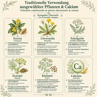Traditionelle Verwendung der Inhaltsstoffe von Digest essentia