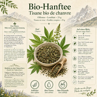 Infografik zum Hanftee-lose mit Zutaten, Herkunft und Überblick