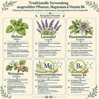 Traditionelle Verwendung der Inhaltsstoffe von Mental essentia