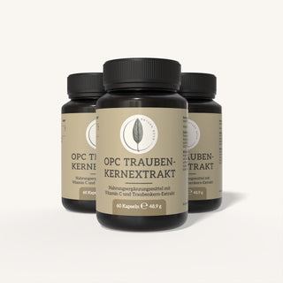 OPC Traubenkern-Extrakt Vorteilspack mit 3 x 60 Kapseln im Braunglas