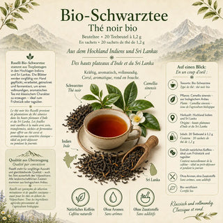 Infografik zum Schwarztee mit Zutaten, Herkunft und Überblick