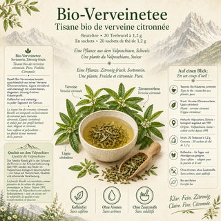 Infografik zum Verveine-Tee mit Zutaten, Herkunft und Überblick