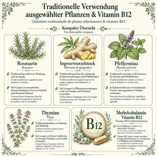 Traditionelle Verwendung der Inhaltsstoffe von Vital essentia